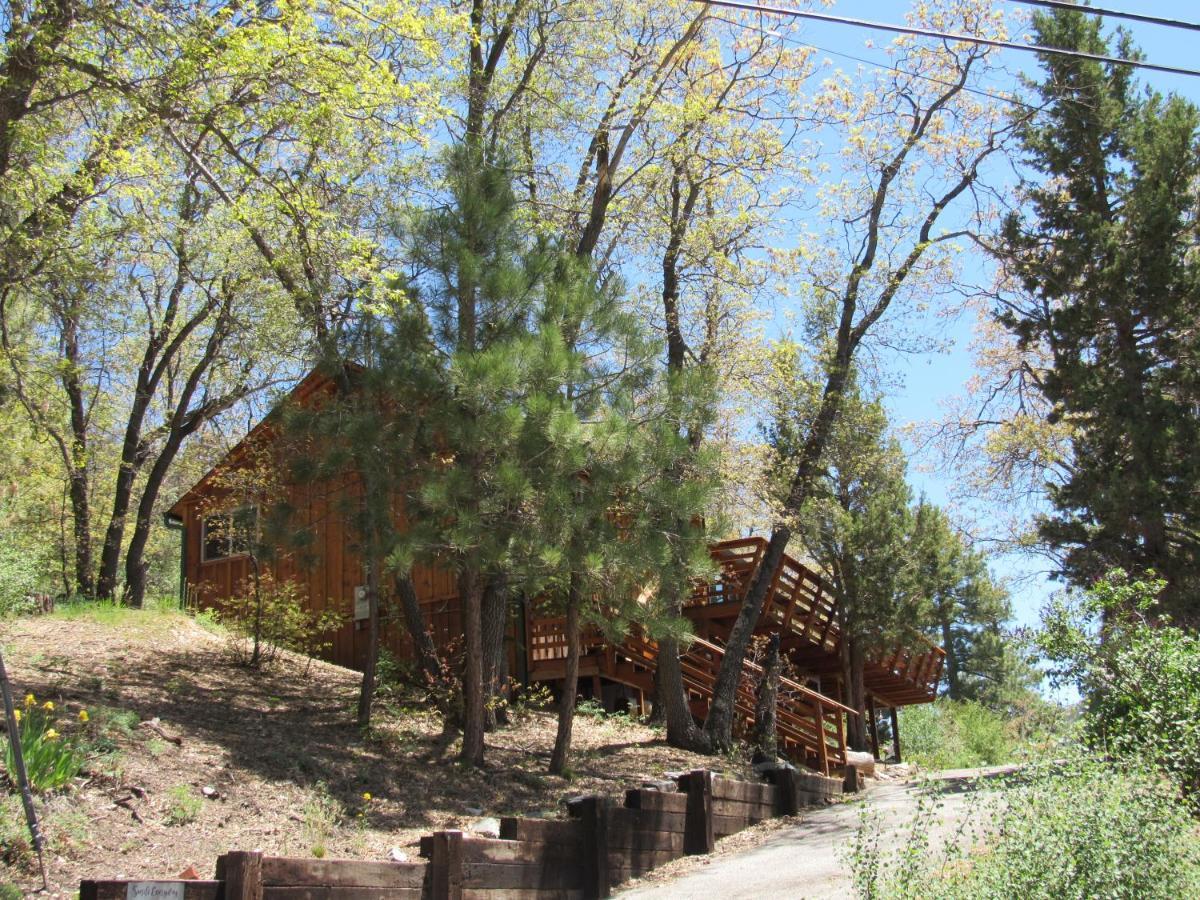 Hillside Hideaway -View Of Ski Slope From Charming Deck Big Bear Lake Eksteriør bilde